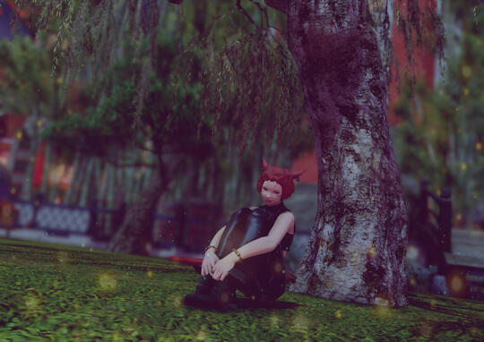 Photo Taken by Ruk'a Naal